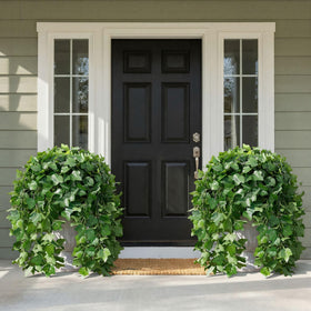 Ivydale ivy vine draped on porch for evergreen curb appeal.