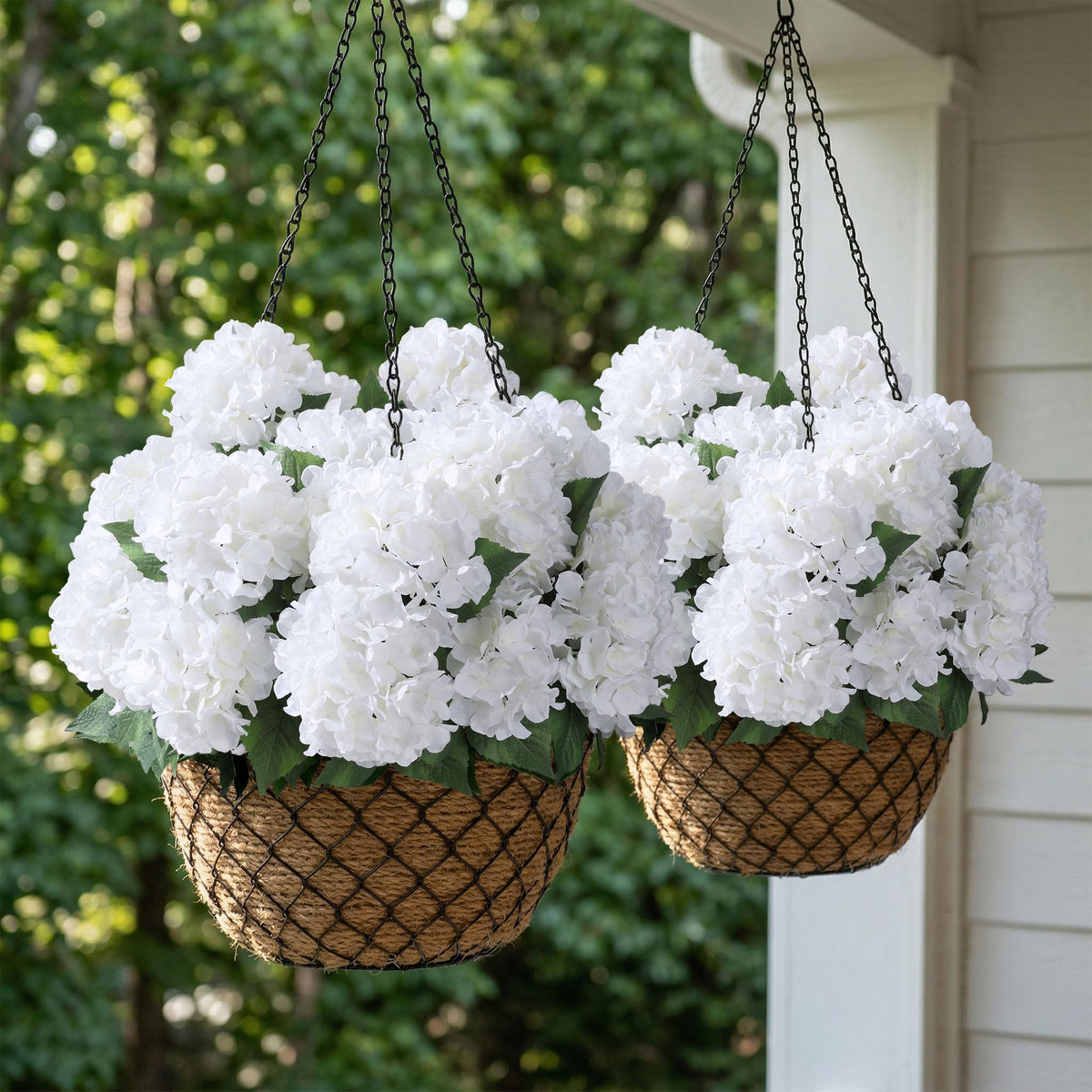 Ivydale maintenance-free hydrangea collection saves time on care