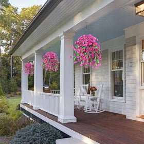 Ivydale sunlit branches showing vibrant color outdoors
