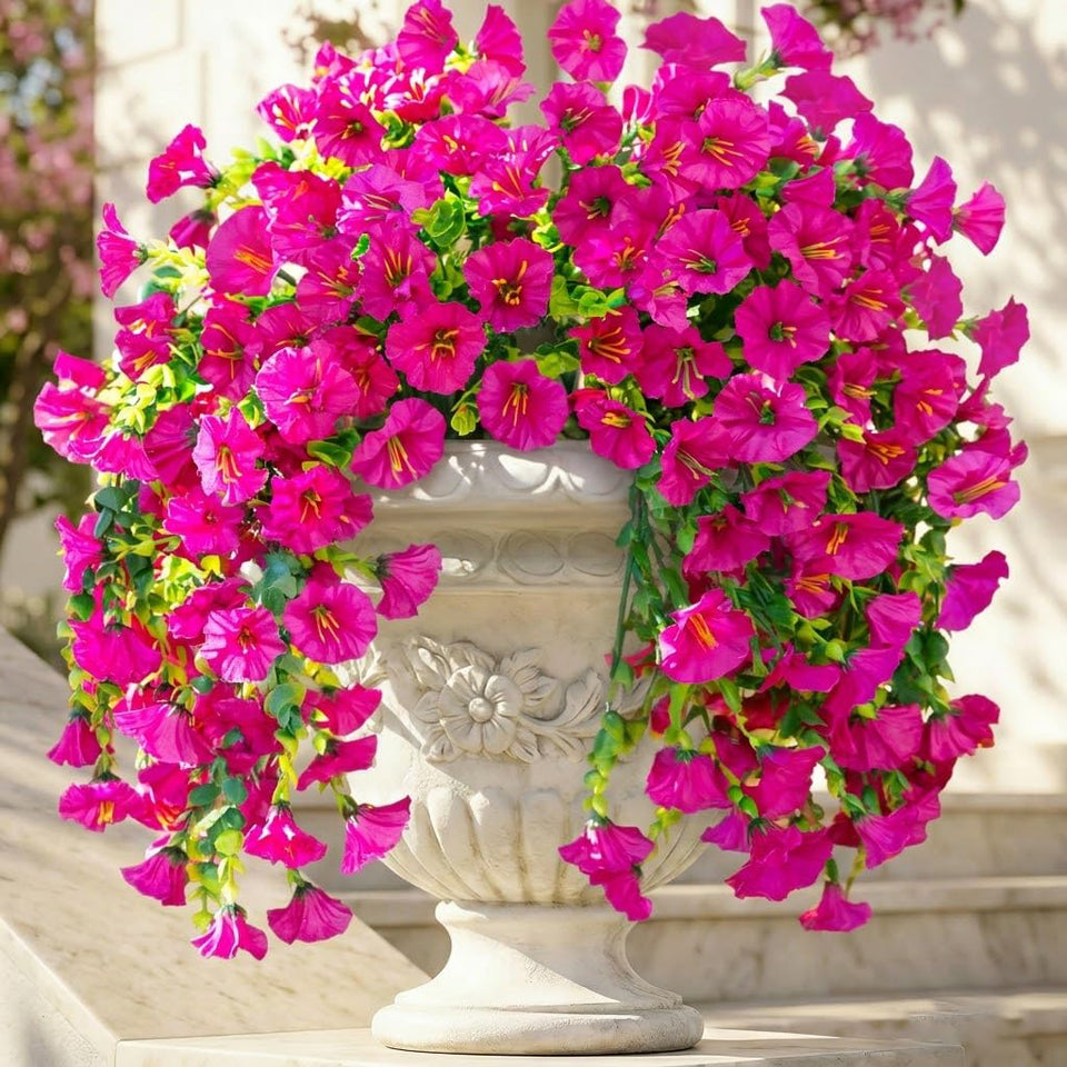 Ivydale Morning Glory hanging flowers full view for outdoor decor