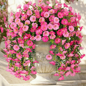 Ivydale morning glory hanging pink closeup shows vibrant, UV-resistant faux blooms for outdoor decor.