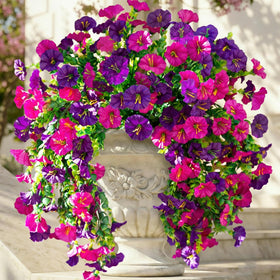 Ivydale morning glory hanging flower in purple adds vibrant outdoor color.