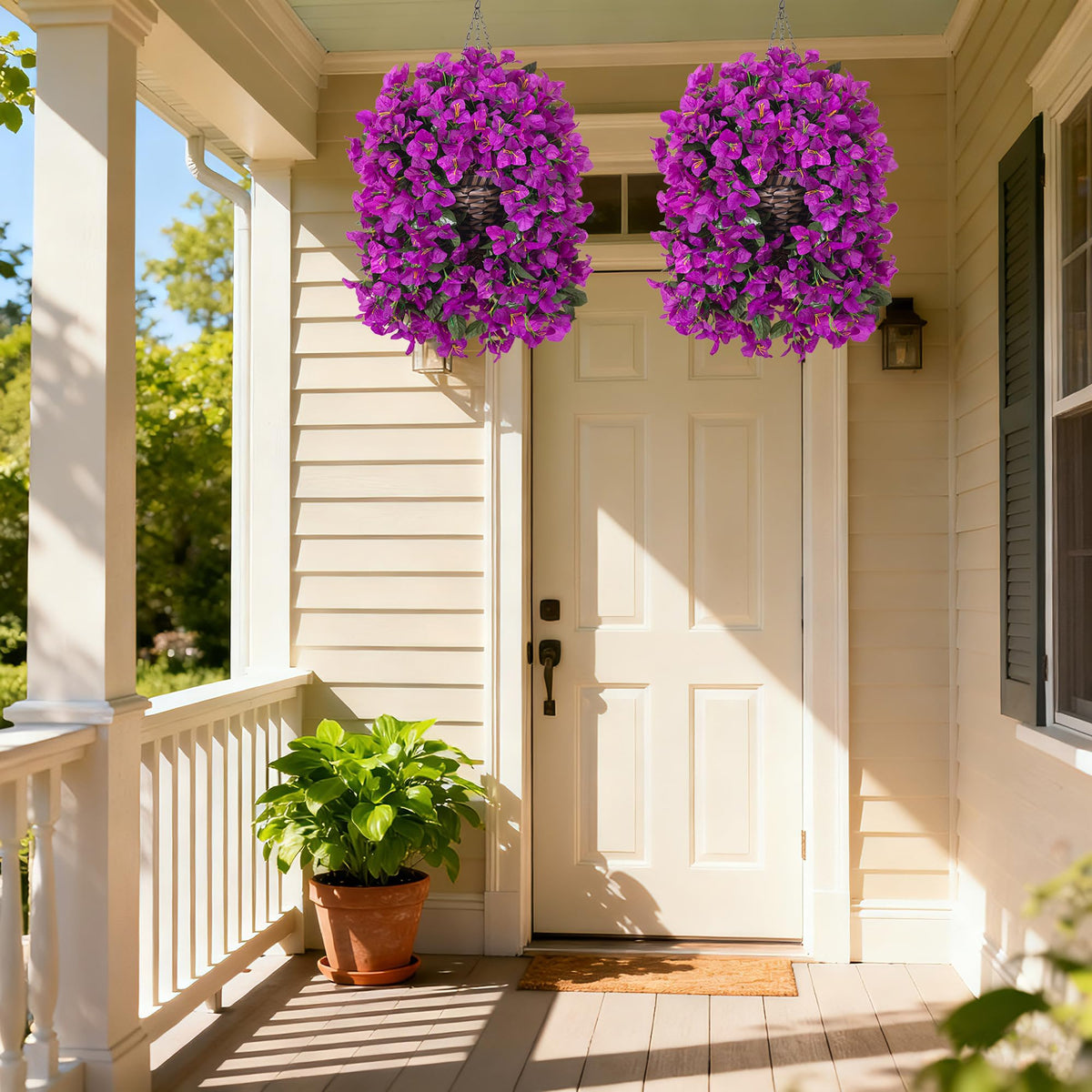 Ivydale outdoor Bougainvillea in patio setting for year-round charm.
