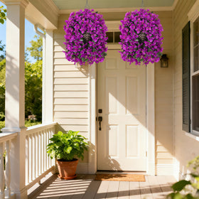 Ivydale outdoor Bougainvillea in patio setting for year-round charm.