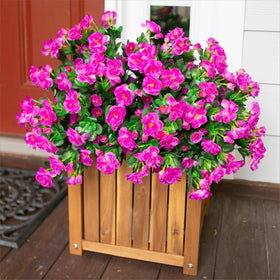 Ivydale camellia fuchsia bloom in sun highlighting UV-resistant fabric and color.