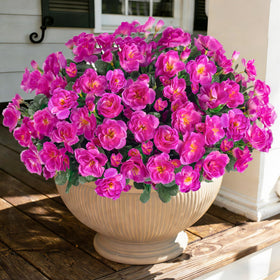 Ivydale camellia fuchsia outdoor closeup showing lifelike silk petals and vibrant color.
