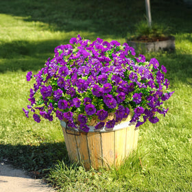 Ivydale outdoor faux flowers in planter deliver year-round beauty.