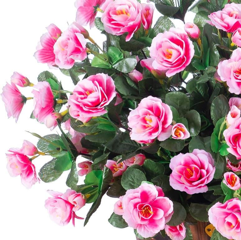 Ivydale outdoor flowers bundle provides all-weather color without watering