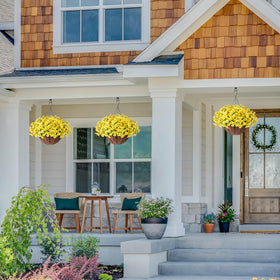Ivydale outdoor hanging basket assembly for quick, stylish setup