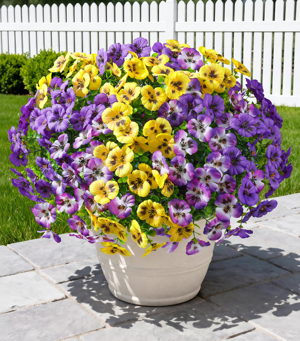 Ivydale pansies 20pcs bundles close-up; vibrant colors, maintenance-free outdoor display.