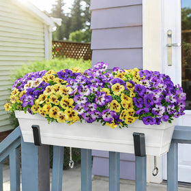 Ivydale pansies no-maintenance flower bed; perennial-looking color with ease.