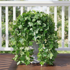 Ivydale faux ivy on pergola creates a verdant backdrop.