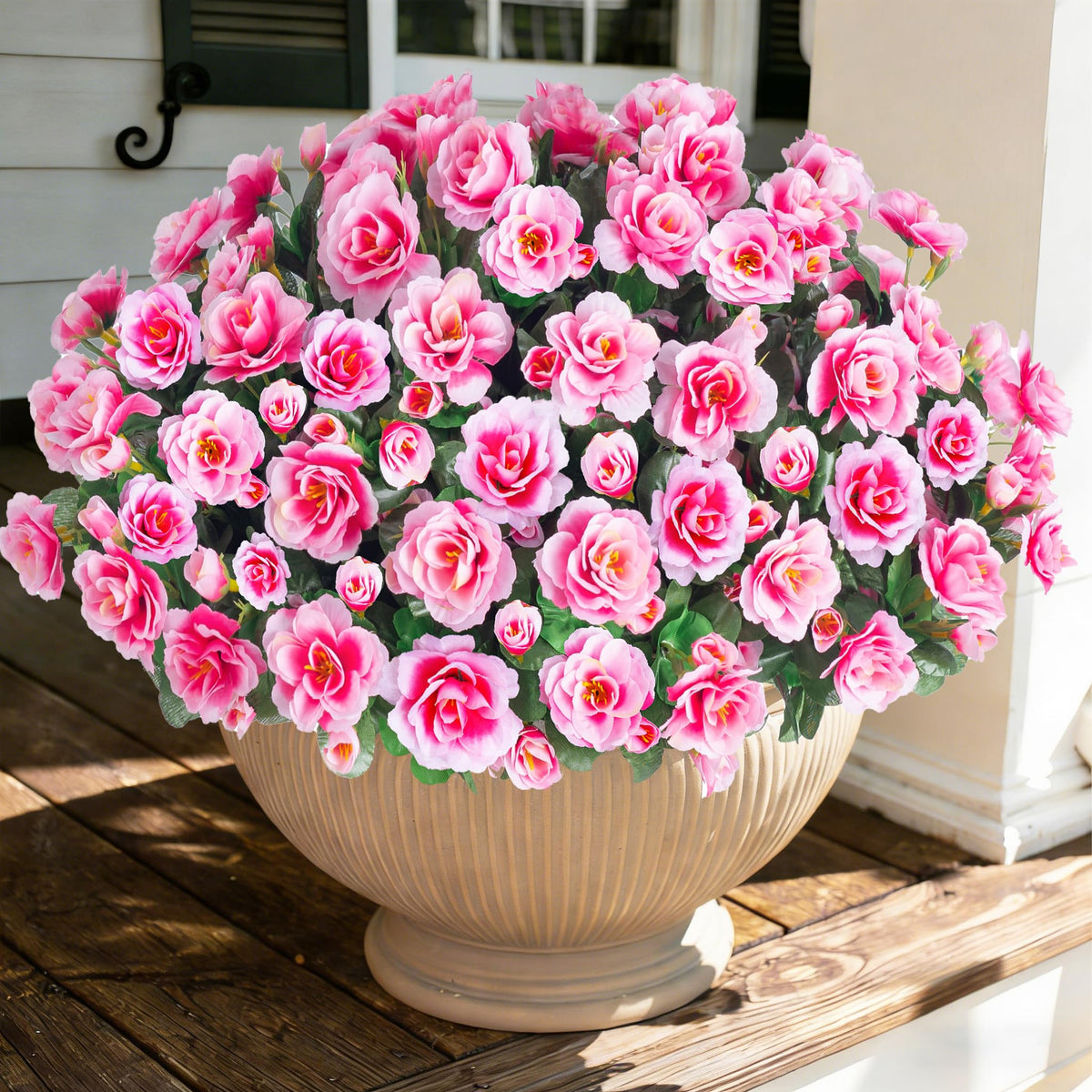 Ivydale pink camellia outdoor flowers bundle for curb appeal with maintenance-free color