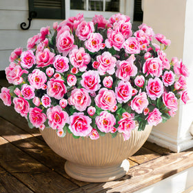 Ivydale pink camellia outdoor flowers bundle for curb appeal with maintenance-free color