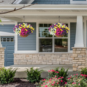 Ivydale ready-to-hang floral basket simplifies outdoor decorating.