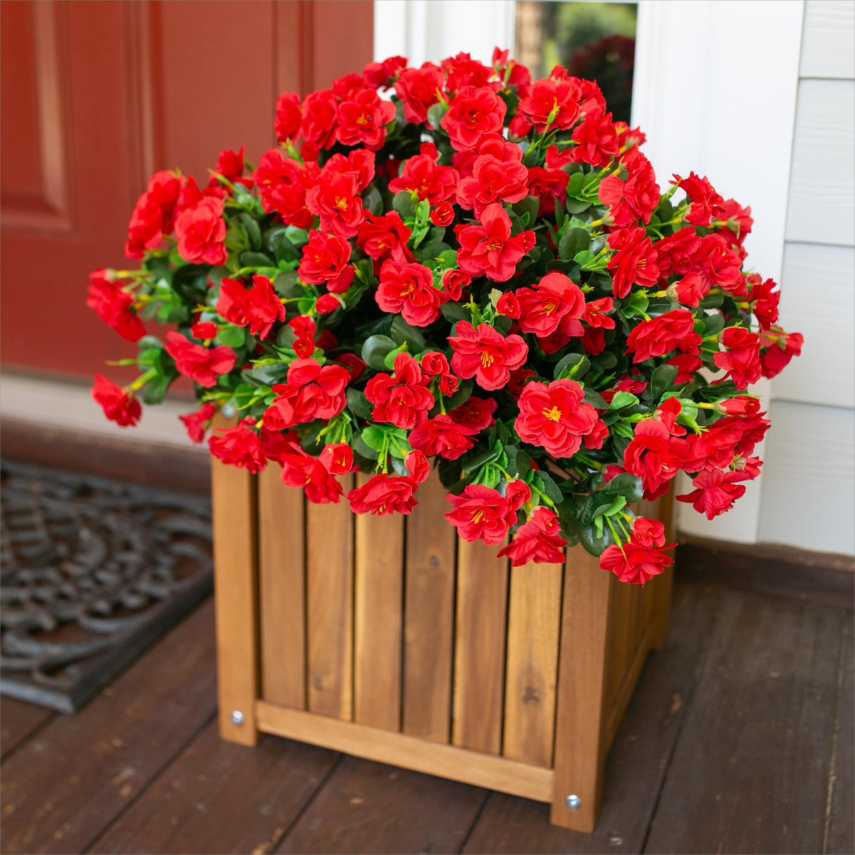 Ivydale silk camellia blooms add year-round beauty to gardens and balconies.