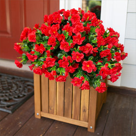 Ivydale silk camellia blooms add year-round beauty to gardens and balconies.