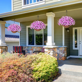Ivydale silk morning glory detail highlights realistic petals for outdoor decor