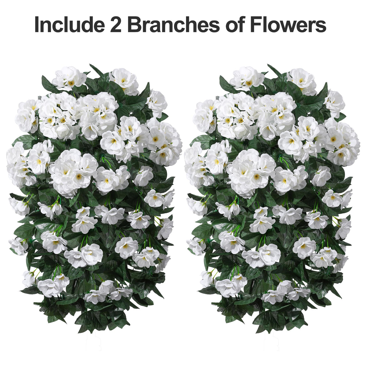 Ivydale two-branch trailing geraniums offer quick outdoor accents.