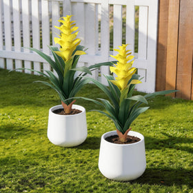 Ivydale UV-resistant artificial bromeliads stay vibrant in sunlit spaces