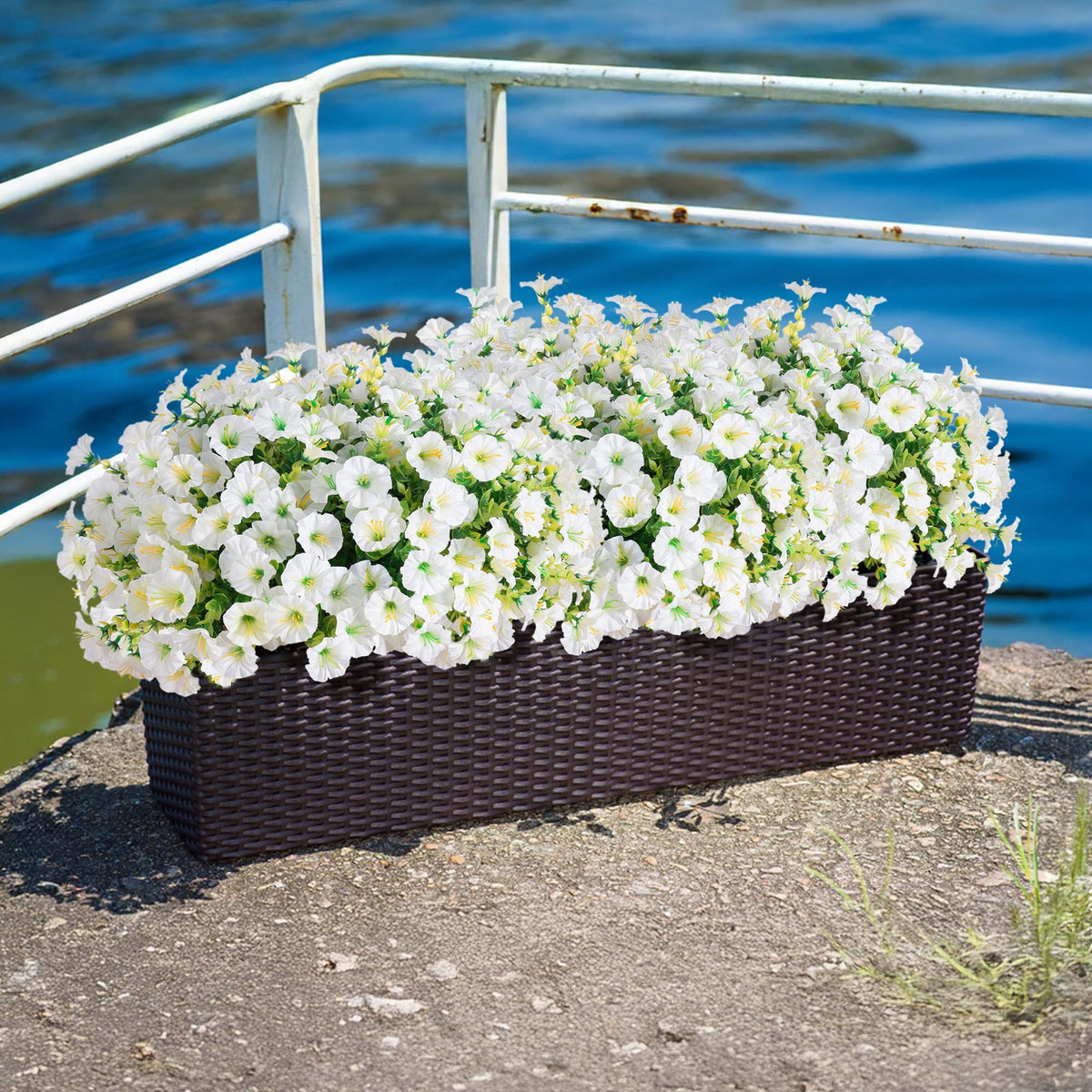 Ivydale UV-resistant flowers resist fading under sun for year-round color.