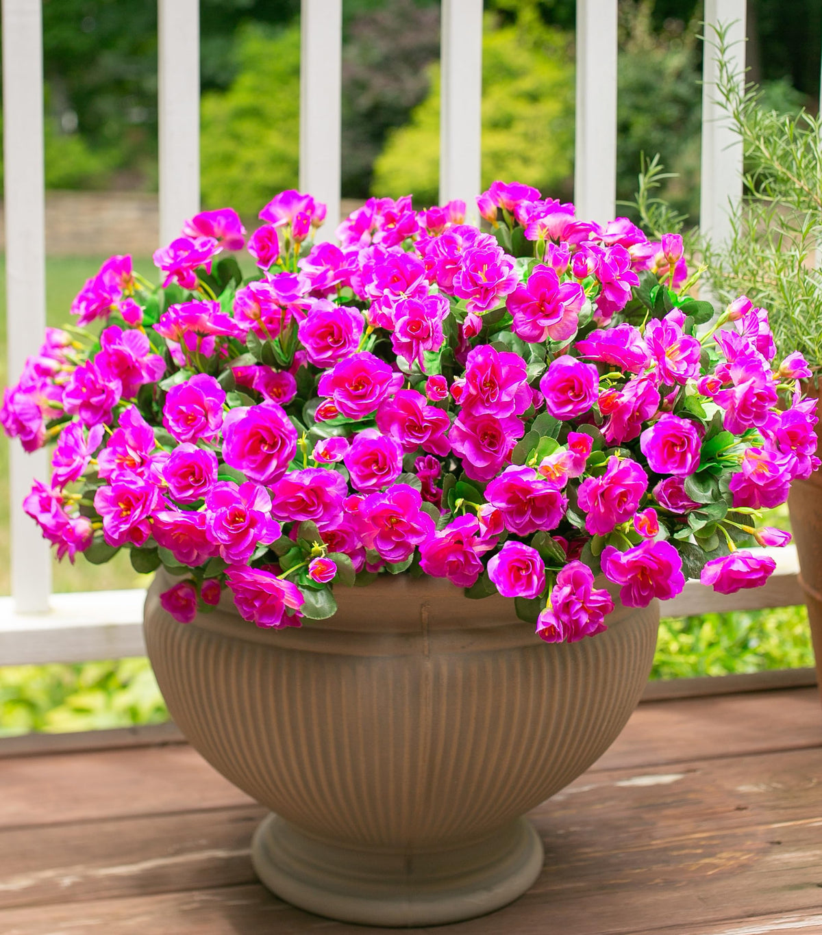 Ivydale UV-resistant silk detail emphasizes durable outdoor beauty.
