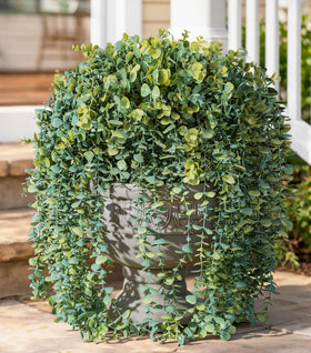 Ivydale white faux eucalyptus vines close-up showing lifelike texture for porch decor.