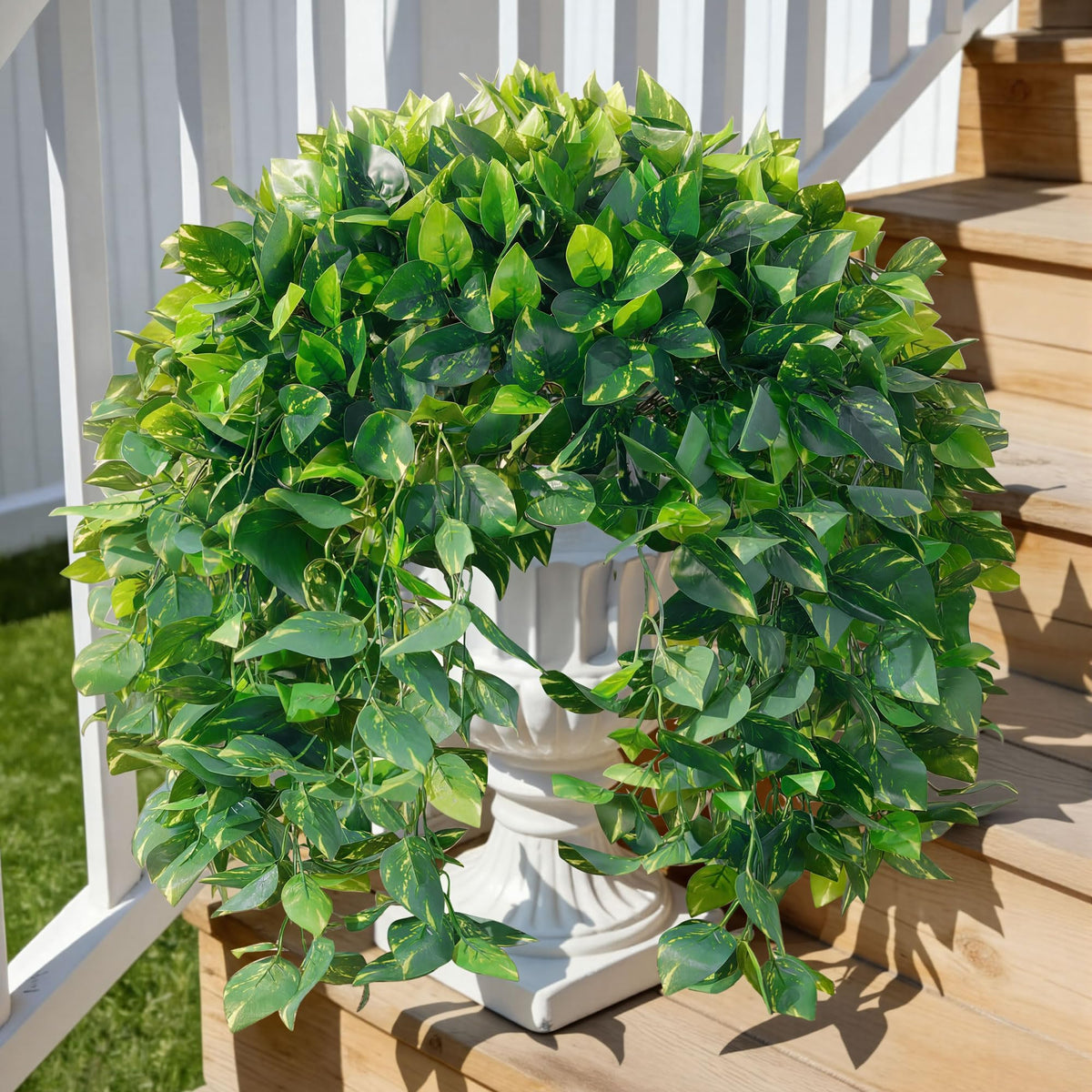 Ivydale pothos in a window box provides bright, durable greenery.