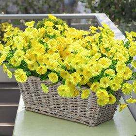 Ivydale yellow silk morning glory with eucalyptus close-up showing realistic texture.