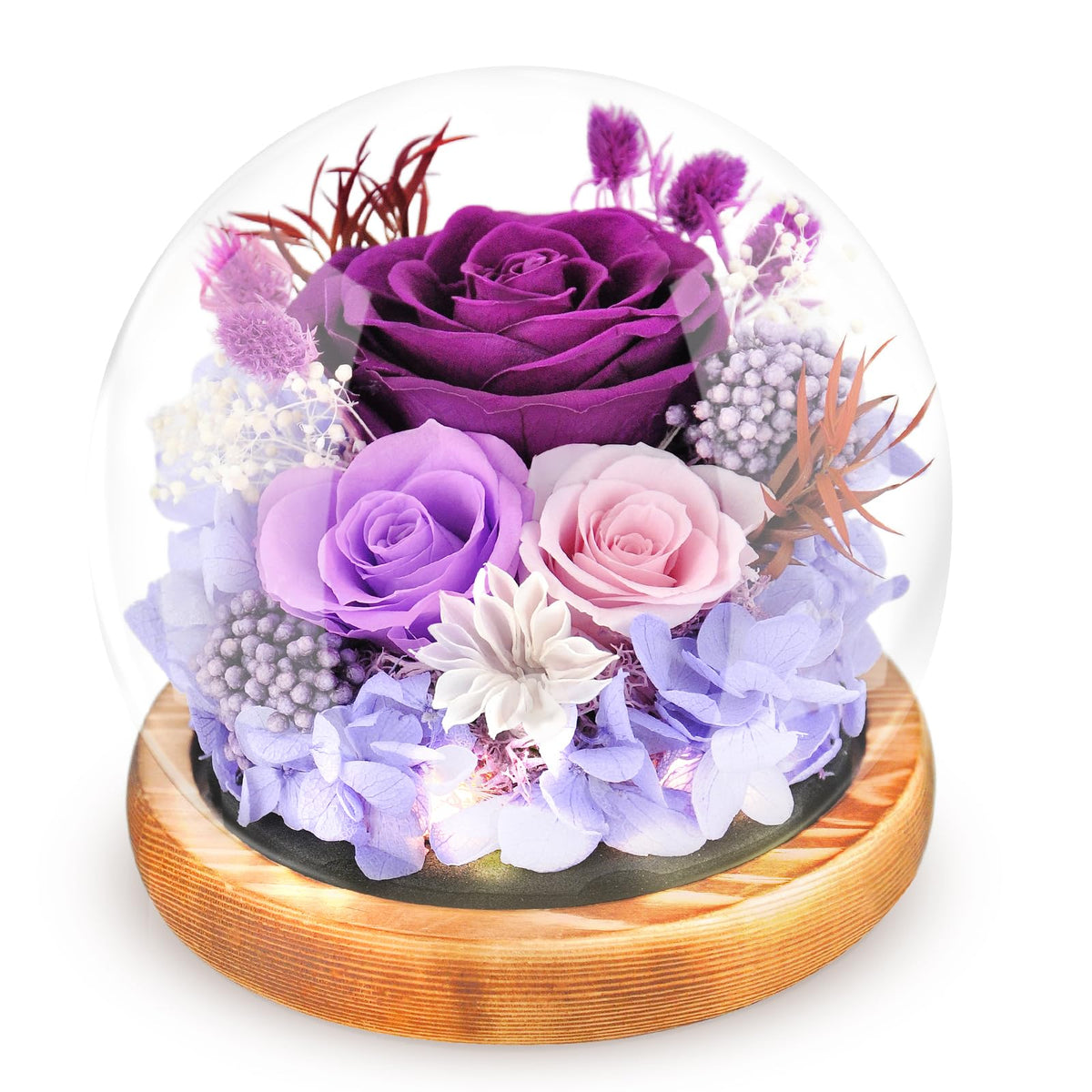 Jabeick preserved rose dome in purple with LED glow for romantic ambience.
