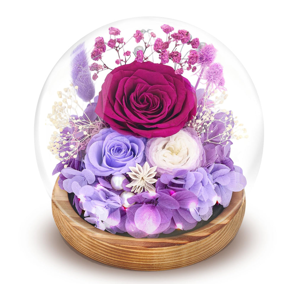 Jabeick preserved rose in purple glass dome for lasting beauty.