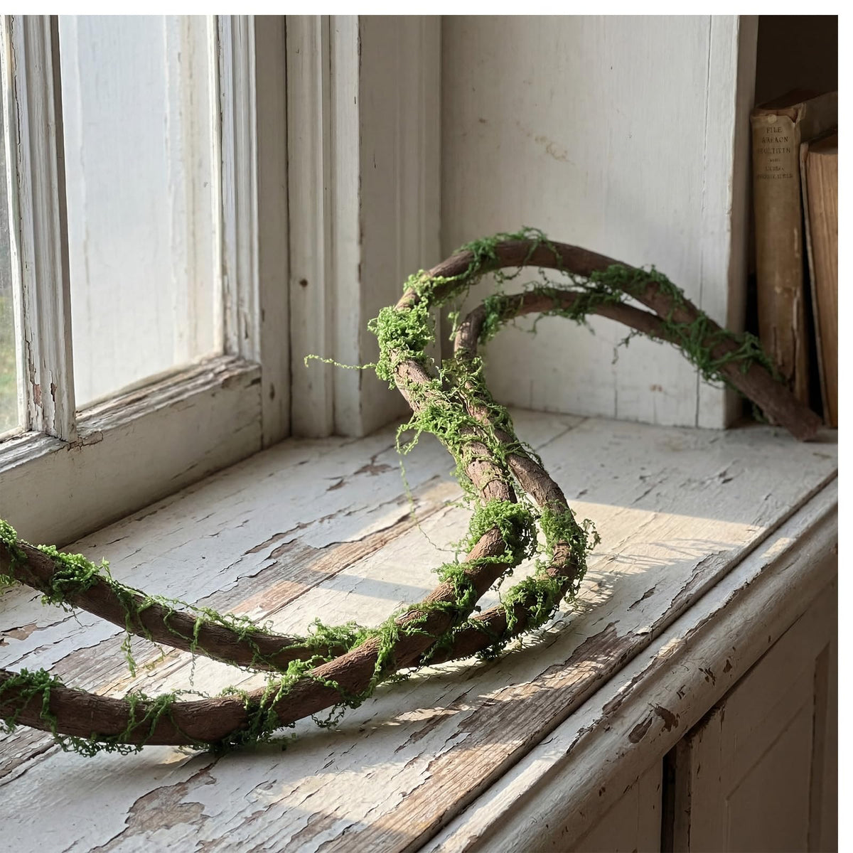 Janinka moss-and-vine setup is ideal for reptile habitats and decor.
