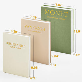 JARLINK sage faux books set of 3 side view enhances bookshelf accents