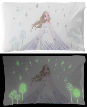 Jay Franco official Disney product pillowcase duo pack with Frozen characters.
