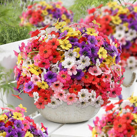 JEMONG backyard decor with 30 bundles for easy styling.