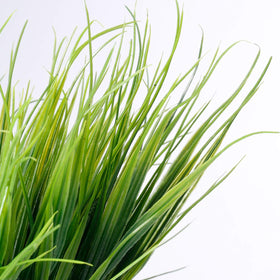 JEMONG high-quality plastic grass and brand commitment for lasting decor.