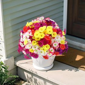 JEMONG sturdy daisy heads stay securely attached for long-lasting displays.