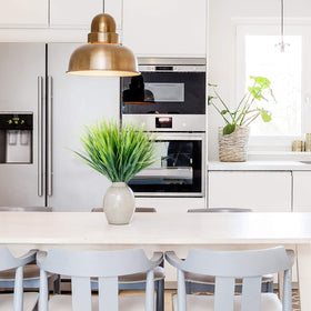 JEMONG windowsill and kitchen decor with ready greenery.