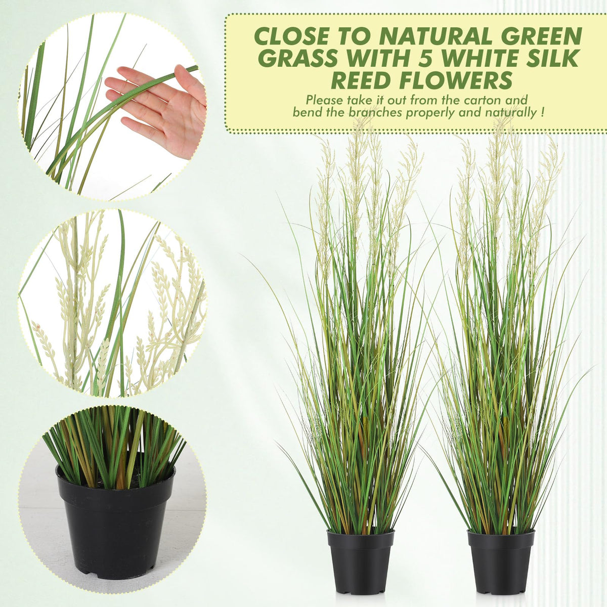 Jexine black pot tall grass plant fits in modern offices and homes.