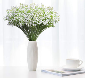 JIFTOK Baby’s Breath for DIY arrangements and bouquets