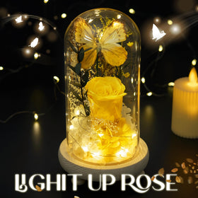 JIGQGY romantic gift idea for Valentine's Day or anniversaries.