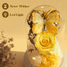 JIGQGY decorative centerpiece with soft LED glow creates cozy ambiance.