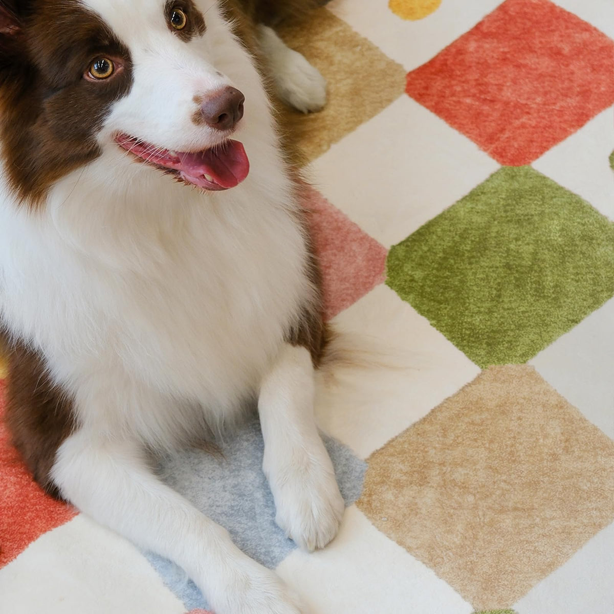 jinchan Macy washable rug is easy to clean after play