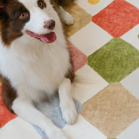jinchan Macy washable rug is easy to clean after play