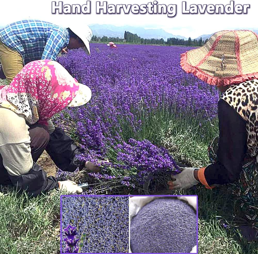 Jitejoe lavender sprigs included in the bag for fuller aroma.