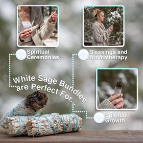 JL Local California white sage field representing fresh, natural vibes for calm spaces.