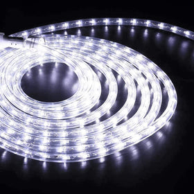 Jnaurb rope lights wrap around trees for festive outdoor visuals