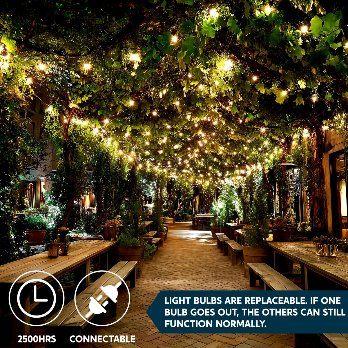 Joiedomi warm white mini bulbs provide cozy ambiance across patios, trees, and rooms.