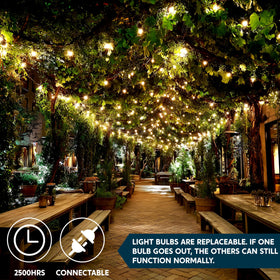 Joiedomi warm white mini bulbs provide cozy ambiance across patios, trees, and rooms.