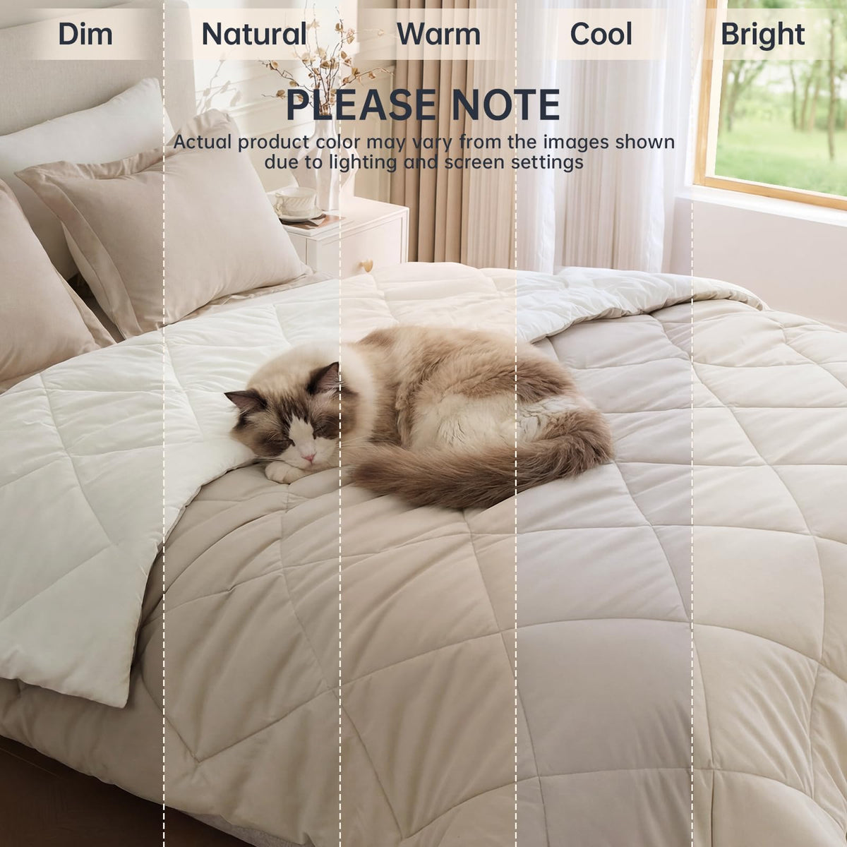 JOLLYVOGUE set includes 1 comforter and 2 pillow shams for quick styling